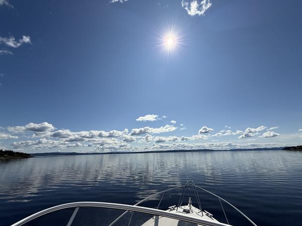 Trondheimsfjorden en finværsdag- Bildet er tatt fra båt og viser også litt av båten i forgrunnen.