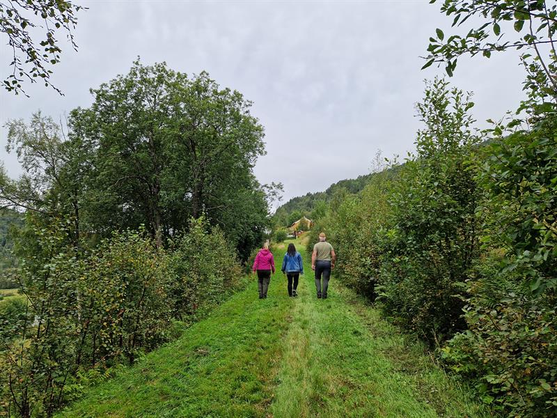 Vandring langs Den trondhjemske postvei i Rindal kommune. Foto Trøndelag fylkeskommune/Kristin Prestvold